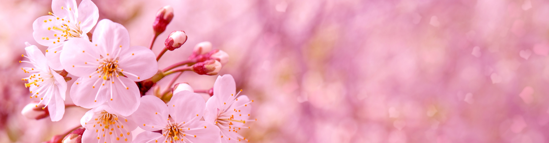 コラム挿絵 (42)