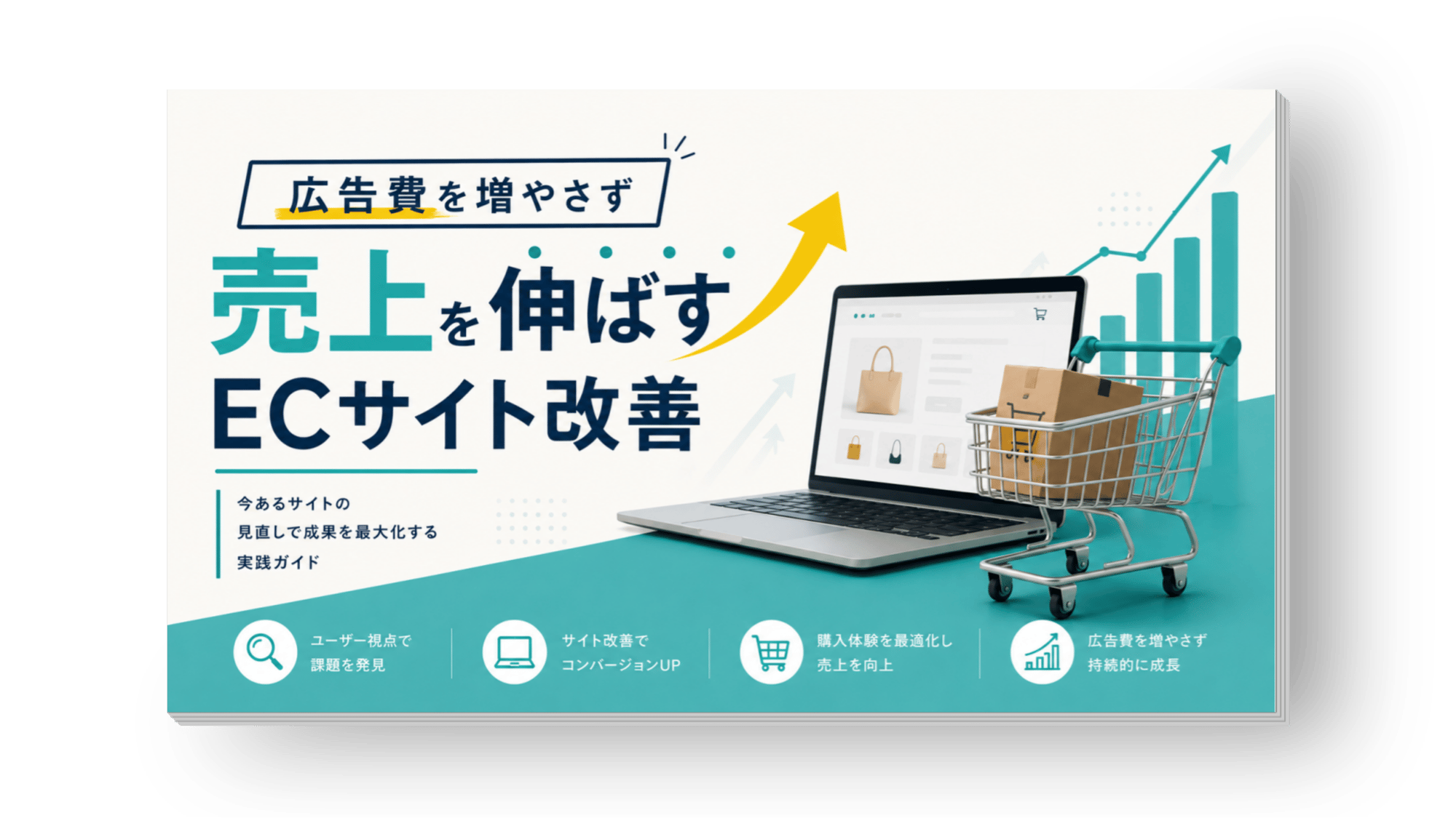 ec-site-cvr-improvement